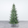 Cedar Pine
